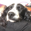 Profile Picture of Caleb Childs (@@childscaleb) on Tiktok