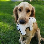 Profile Picture of Alice Drescher (@alice.drescher.2025) on Facebook