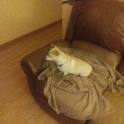 Profile Picture of KeithHamby (@KeithHamby6) on Twitter