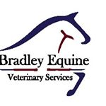 Profile Picture of Paula Bradley (@bradleyequinevet) on Instagram