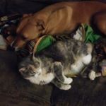 Kevin Prettyman - Instagram Profile Picture of Kevin Prettyman (@thatfack) on Instagram