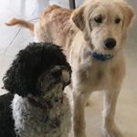 Profile Picture of Craig Buchanan (@buchanancraig169) on Instagram