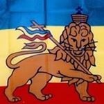 Profile Picture of Steve Radomski (@radomskisteve) on Instagram