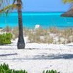 Profile Picture of Dave Coppola (@coppdave) on Instagram