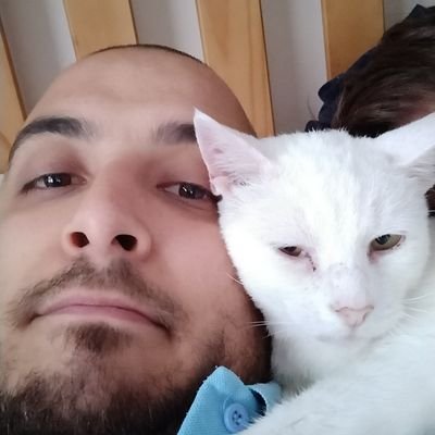 Profile Picture of Matt The Paranoid Android  🤖 (@_BorkLife) on Twitter