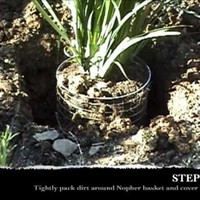 Profile Picture of Joshua Ferrari (@joshua-ferrari) on Quora