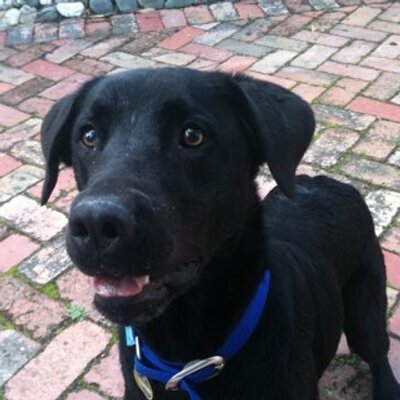 Profile Picture of Grant Gibbs (@gdgibbs) on Twitter