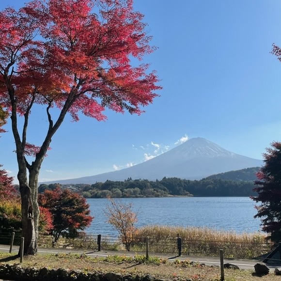 Profile Picture of Sandy Iwata (@fujibeauty) on Poshmark