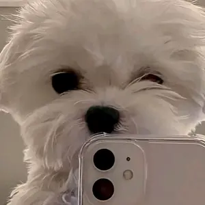 Profile Picture of Тэйси тате (@axn_tacey) on Tiktok