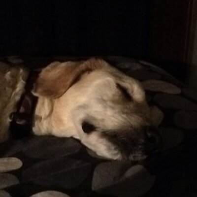 Profile Picture of Val Hayes (@val_hayes) on Twitter