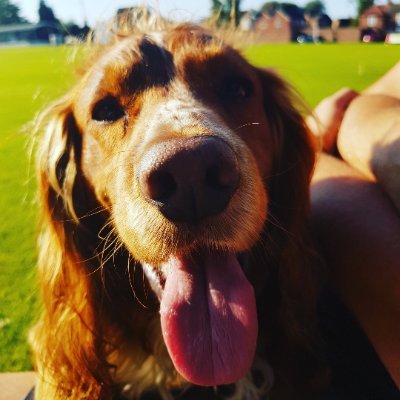 Profile Picture of Amanda Wiser (@wiseramanda) on Twitter