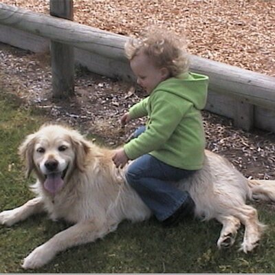 Profile Picture of Adam Honey (@adamjhoney) on Twitter