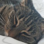 Profile Picture of 𝓥𝓲𝓷𝓬𝓮𝓷𝓽 𝓢𝓬𝓱𝓮𝓲𝓭𝓮𝓻 (@vincent.schneider_) on Instagram