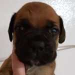 Profile Picture of Travis McKay (@trav_mckay) on Instagram