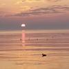 Profile Picture of Dawn Zielinski Blumm (@@dawnblumm) on Tiktok