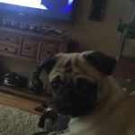 Profile Picture of Matthew Kosinski (@kosinskimatthew) on Instagram