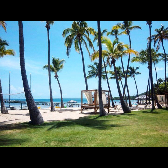 Profile Picture of Mariel Consagra (@shoes_handbag) on Poshmark