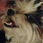 Profile Picture of Cassie Burnett (@cassie_burnett16) on Instagram