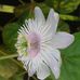Profile Picture of Thiagaraja Vinayagam (@thiagaraja.vinayagam) on Facebook