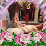 Profile Picture of Gemma Williams (@gemma.williams.3720) on Instagram