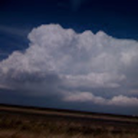 Leigh Banfill - Poshmark Profile Picture of Leigh Banfill (@leaverybee) on Poshmark