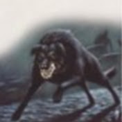 Profile Picture of William Cook (@williamcook1555) on Youtube