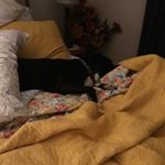 Profile Picture of LuAnne Reed (@instalureed) on Instagram