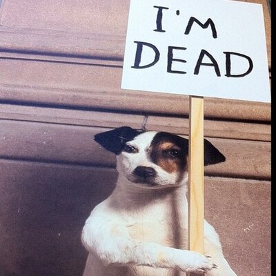 Profile Picture of Daniel Charles (@DPC74) on Twitter