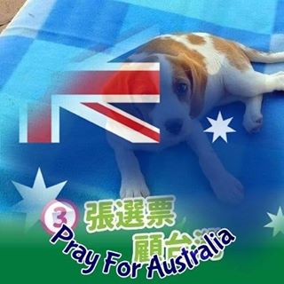 Profile Picture of Mark Tsou (@Mark-Tsou) on Facebook