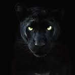 Profile Picture of Michael Walsh (@Michael-Walsh) on Facebook