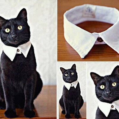 Neida Ramírez - Twitter Profile Picture of Neida Ramírez (@Neida31ak97) on Twitter