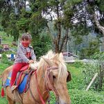 Profile Picture of Adara Zisel (@adarazisel) on Instagram