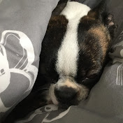 Quinn Gray - Youtube Profile Picture of Quinn Gray (@quinngray4244) on Youtube