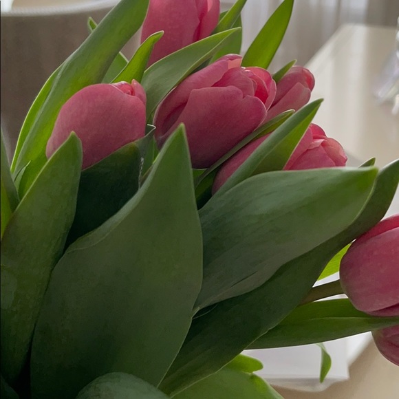 Profile Picture of Melfam Melohn (@sara_melohn) on Poshmark