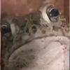 Profile Picture of Theresa Appleton83 (@theresaappleton83) on Tiktok
