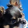 Profile Picture of Link.n.Logs (@Link.n.Logs) on Flickr