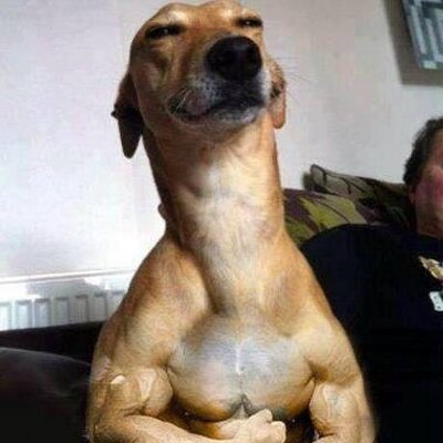 Profile Picture of Terry Dawson (@BuglerBob) on Twitter