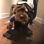 Profile Picture of Cheryl Downs (@i_am_cdowns) on Instagram