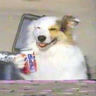 Profile Picture of Julián Godoy Echeverri (@jgodech) on Twitter