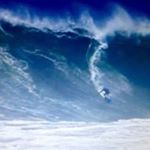 Profile Picture of Michael Cutino (@michaelcutino) on Instagram