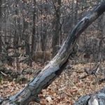 Profile Picture of David Hennen (@djhennen) on Instagram