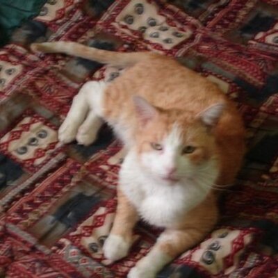 Profile Picture of Rafael  Villa Barrón (@rafaelvillab) on Twitter