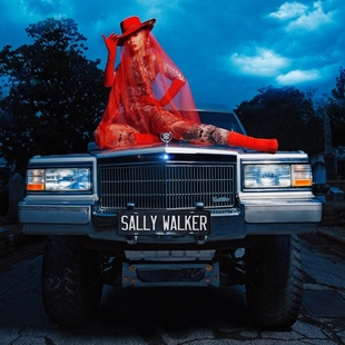 Profile Picture of Sally Walker (song)on Wikipedia