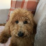 Fiona Craig - Instagram Profile Picture of Fiona Craig (@fiona.craig.522) on Instagram