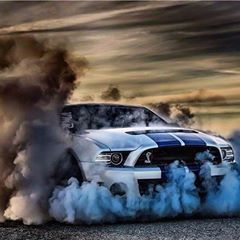 Profile Picture of Craig Dedman (@craigdedman) on Tiktok