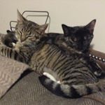 Profile Picture of Joshua Erb (@josherb67) on Instagram