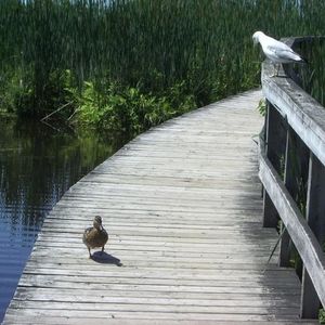 Profile Picture of Alain Prince (@333486088) on Myspace