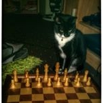 george smith - Instagram Profile Picture of george smith (@gasmithgecko) on Instagram