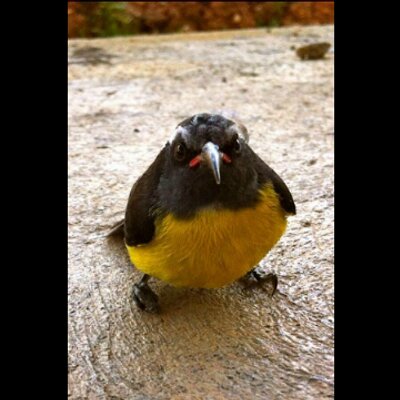 Profile Picture of Grant Davis (@grantedavis) on Twitter