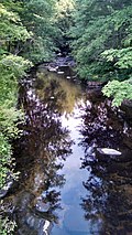 Profile Picture of Phillips Brook (Massachusetts)on Wikipedia